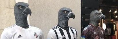canaldosuu's profile banner image