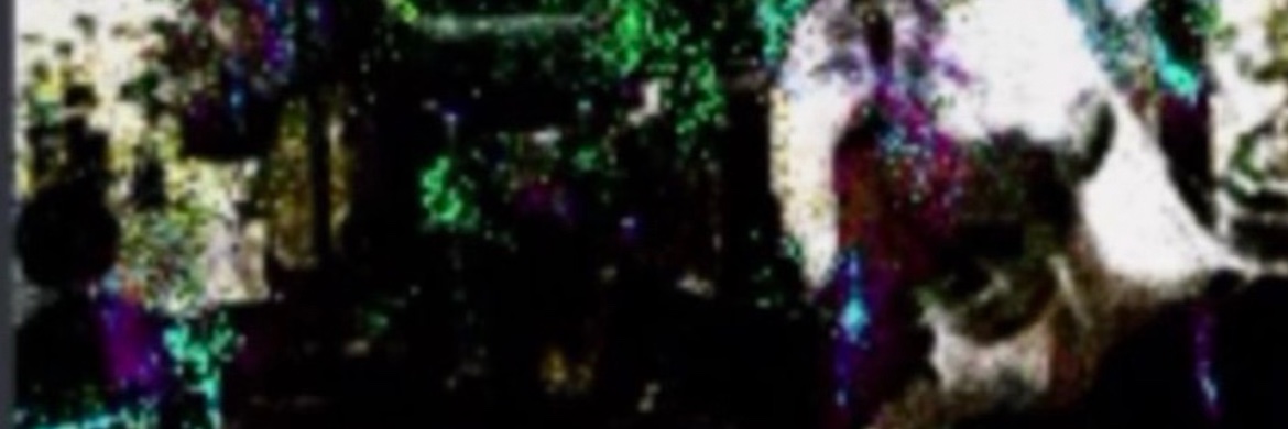 rahsaf banner