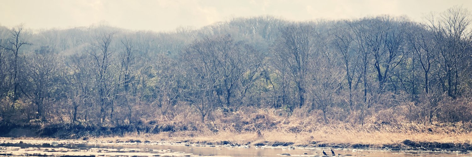 coacervate's profile banner image