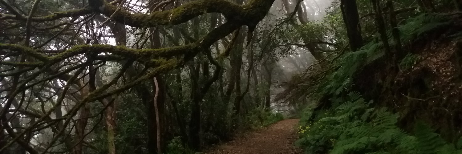Albytr14's profile banner image