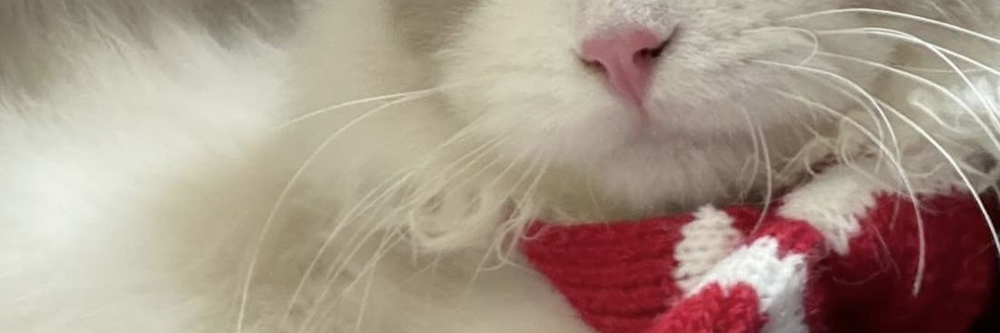 ios banner