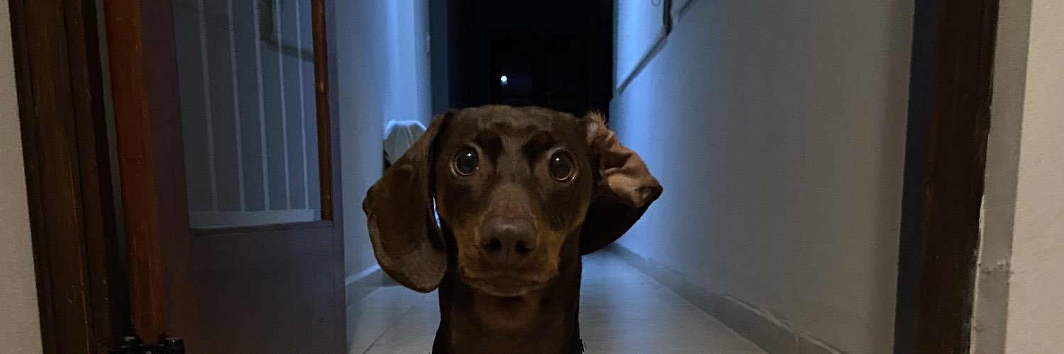 EugeFrizzo's profile banner image