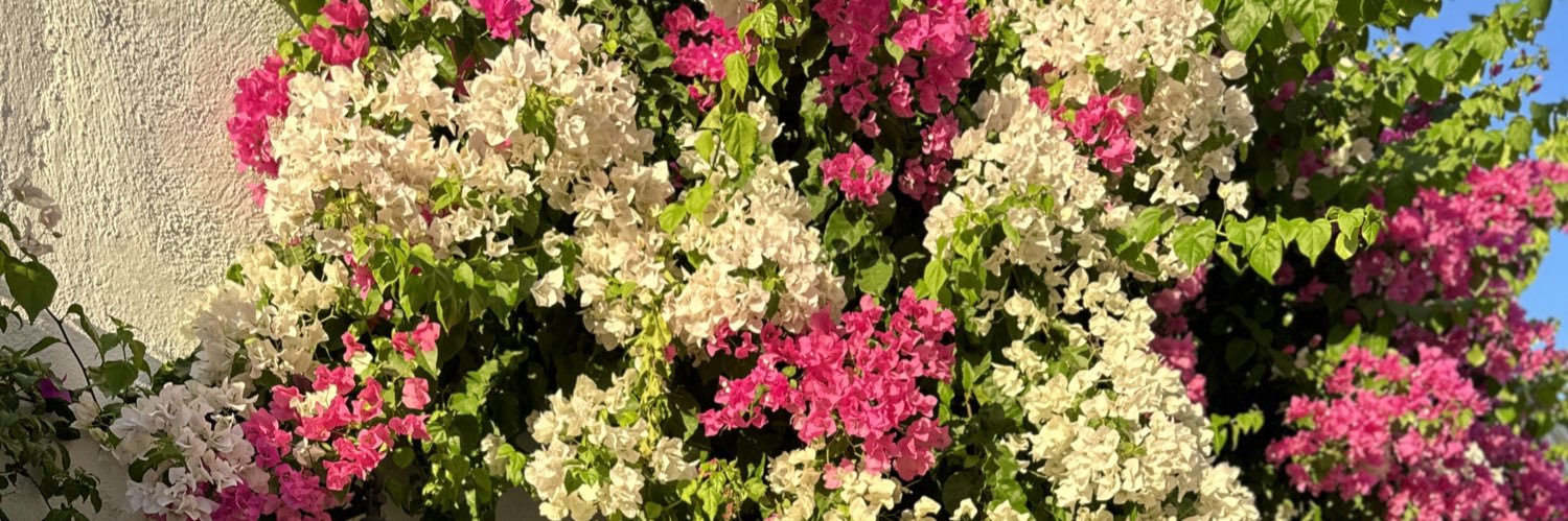 dilan_cil's profile banner image