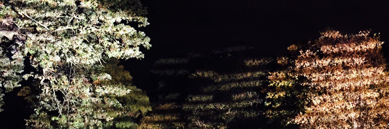 susanjmillar's profile banner image