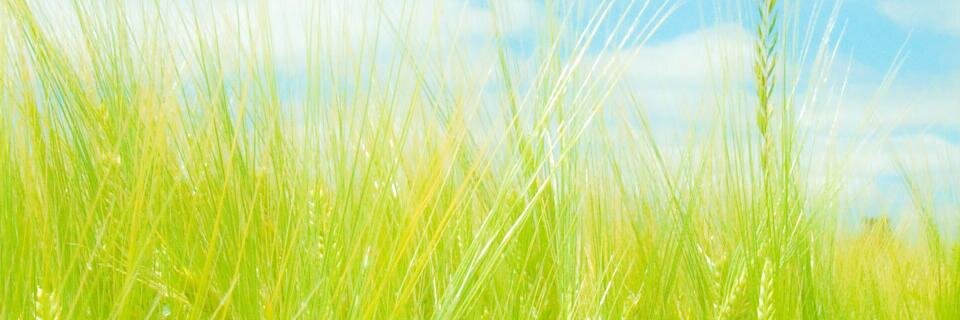 N082169's profile banner image