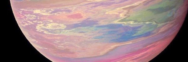 flowrose_grace Profile Banner