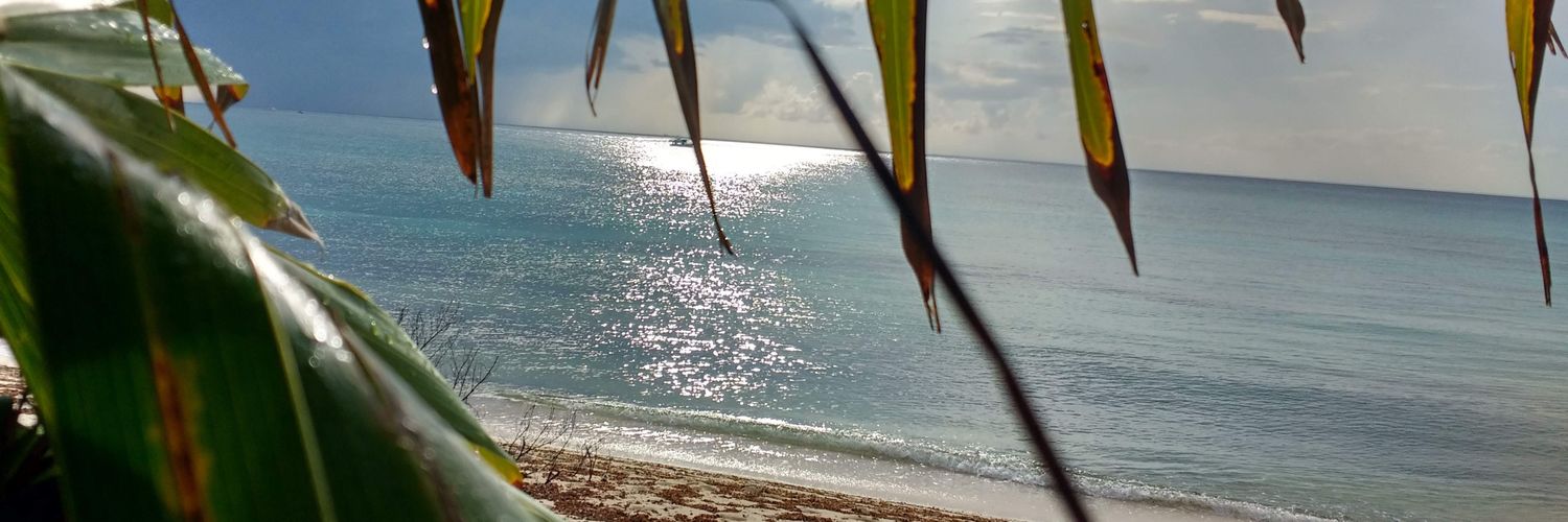 LourdesDaract's profile banner image