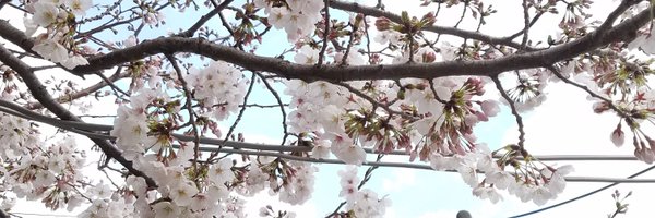akatsuki_tohno Profile Banner