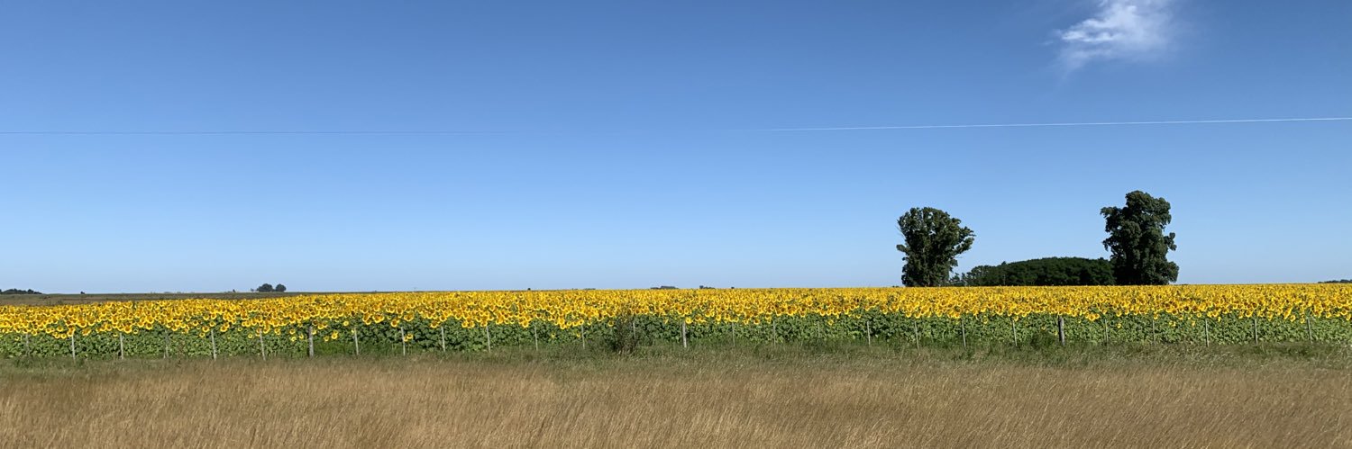 Rochu banner