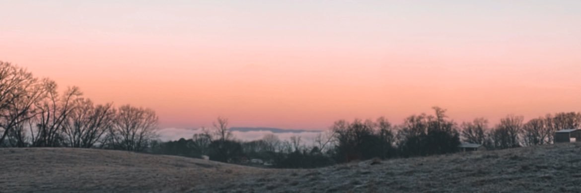 𝓀𝓍𝓉𝑒𝑒 banner