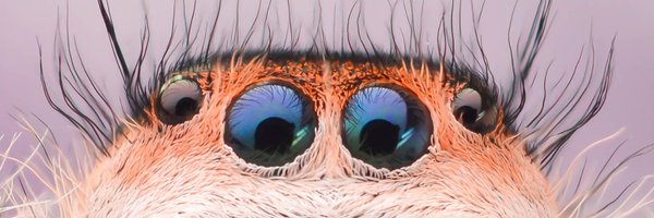 SharpsJJ Profile Banner