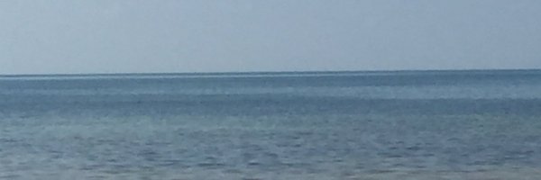 rhpickler Profile Banner