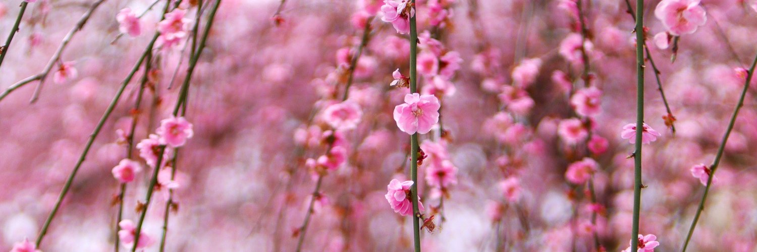 たいさん banner