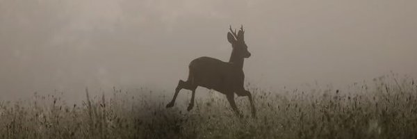 zerozier Profile Banner