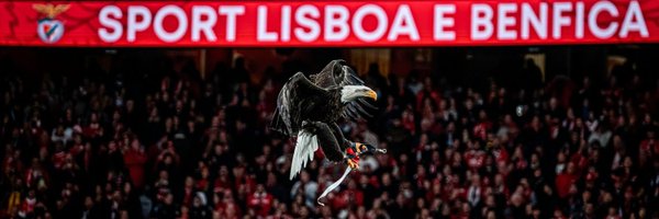 benfica_always Profile Banner