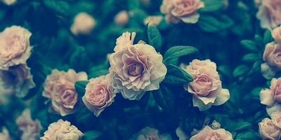 KrystallAML's profile banner image