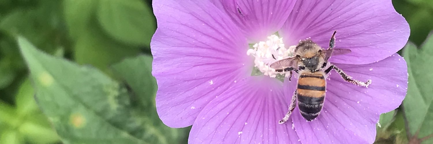 AstridGutR's profile banner image