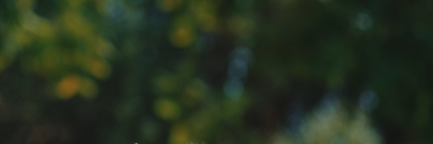 MeLoXTRA's profile banner image