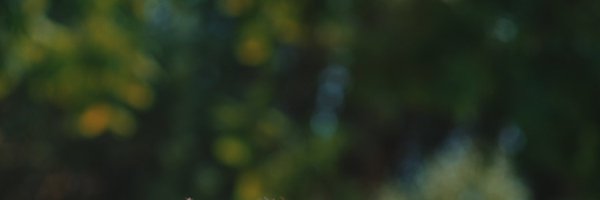 MeLoXTRA Profile Banner