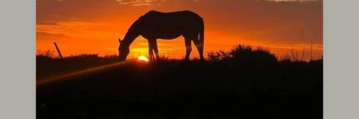 Eri_Chay's profile banner image