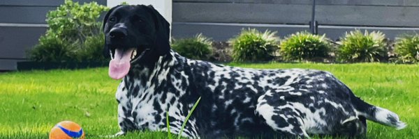 zack_cozart Profile Banner