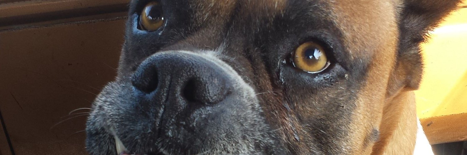 jorge_rr96's profile banner image