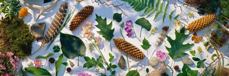 mal🌾's banner