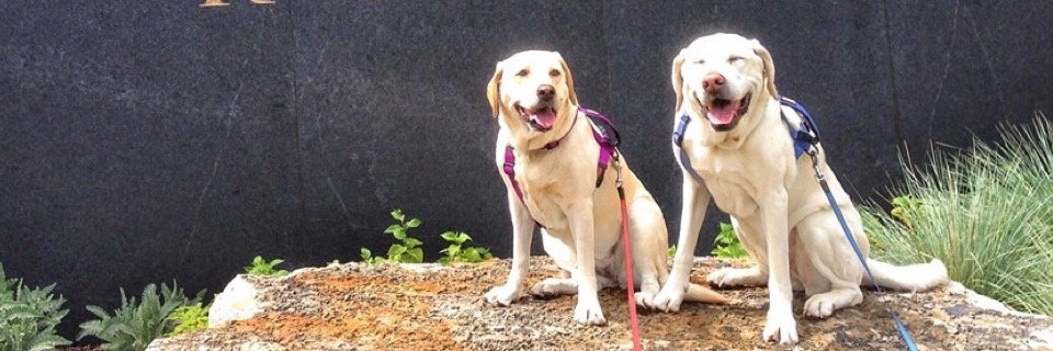 mcnulty81's profile banner image