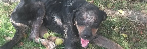 maribeld_ Profile Banner