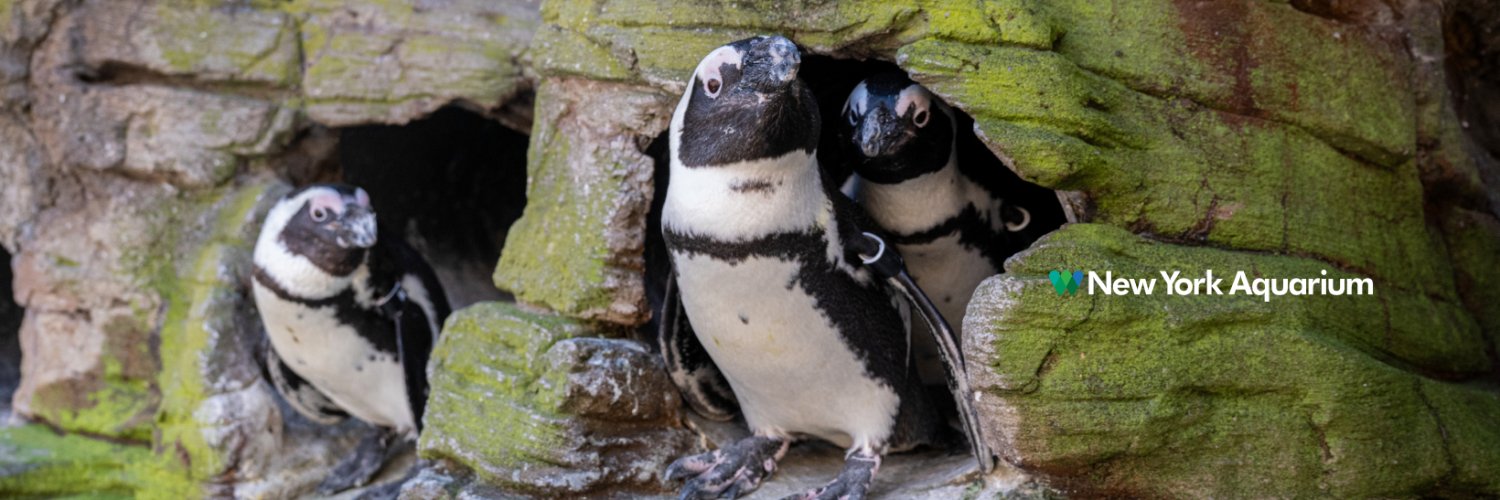 New York Aquarium's banner