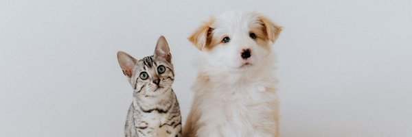 UahPet Profile Banner