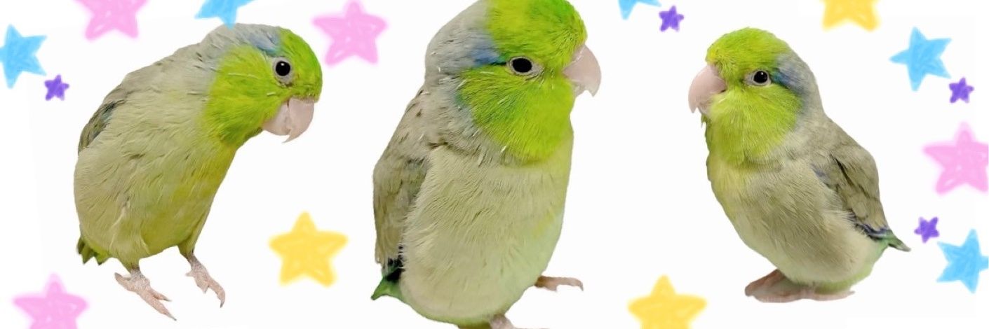 manatanssu's profile banner image
