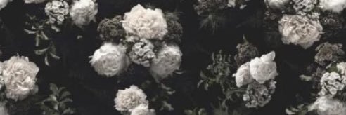Emilywert5's profile banner image