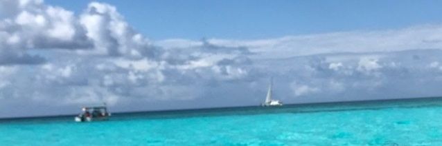 orne_bernardii's profile banner image