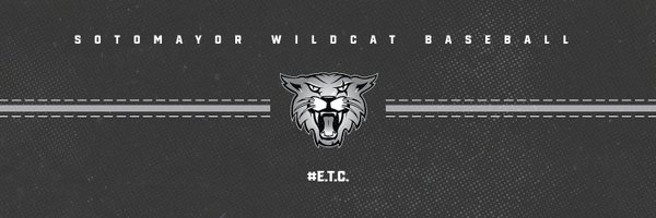 SOTOCATBASEBALL Profile Banner