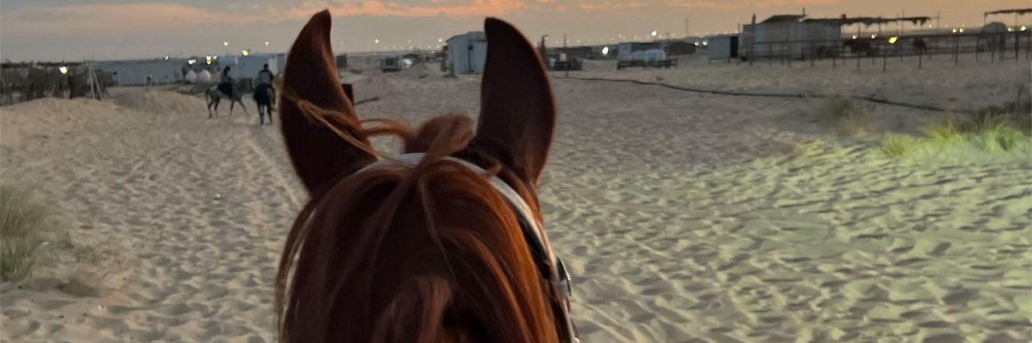 Q8_f5's profile banner image