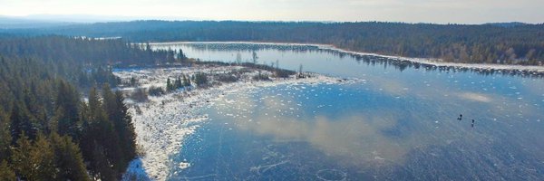 PhilippeAlpy Profile Banner