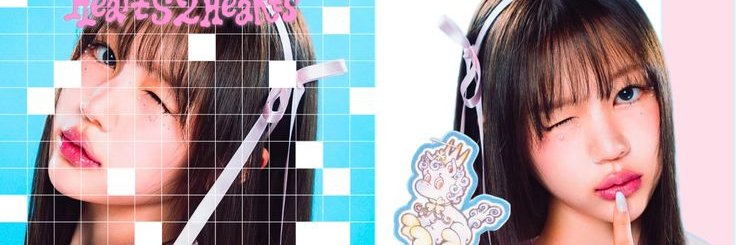 dolly banner
