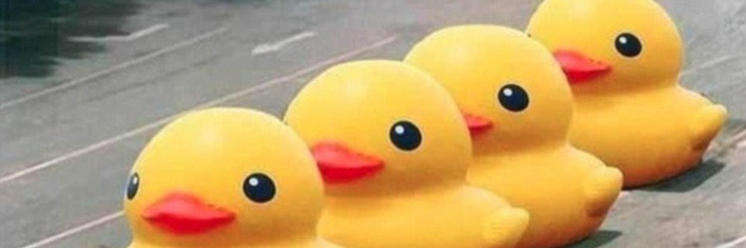 e_u's profile banner image