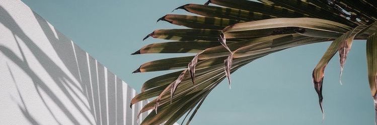 _ItsMorganT's profile banner image