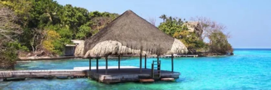 Dominique Ravenel🐳 banner