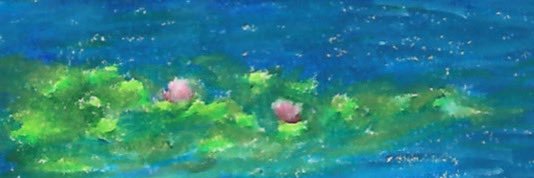 rissa banner
