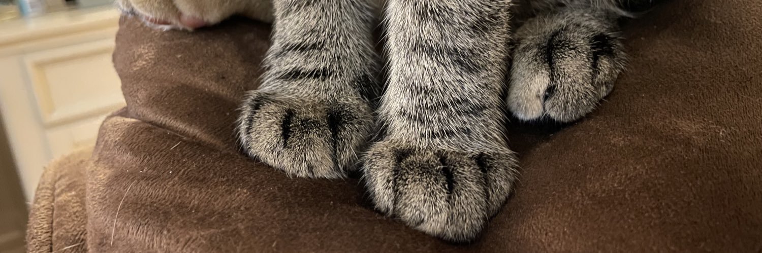 krstwds's profile banner image