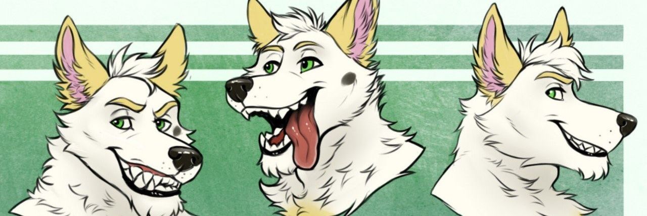 Lucky Shepherd banner