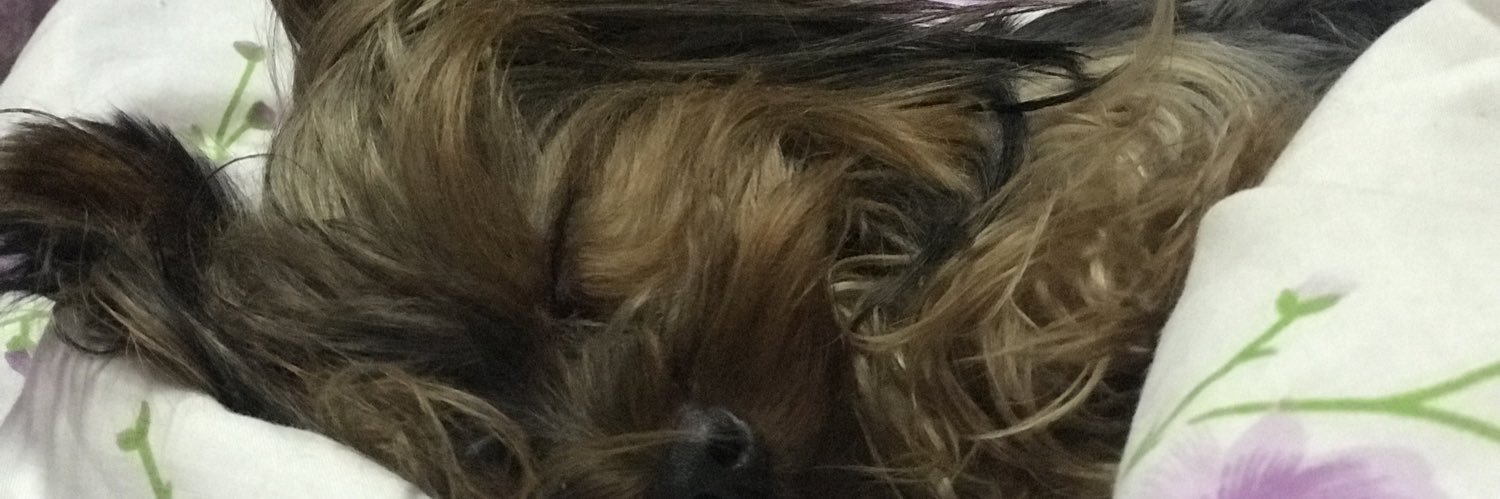 andreagill14's profile banner image