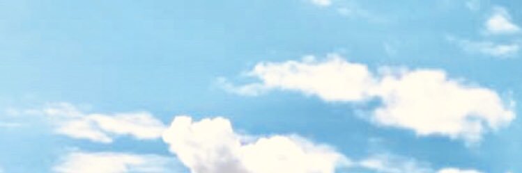 fernamac's profile banner image