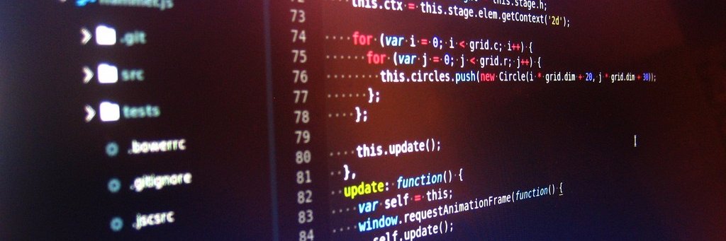 Ticiana de Andrade banner