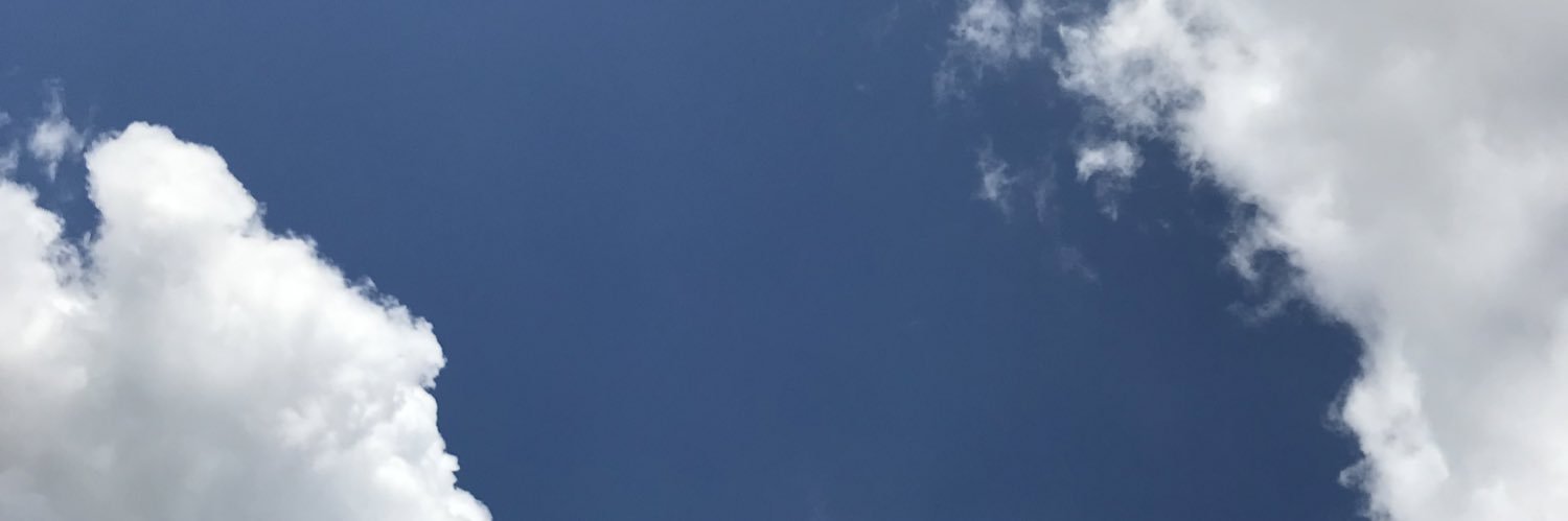 taliteeee's profile banner image