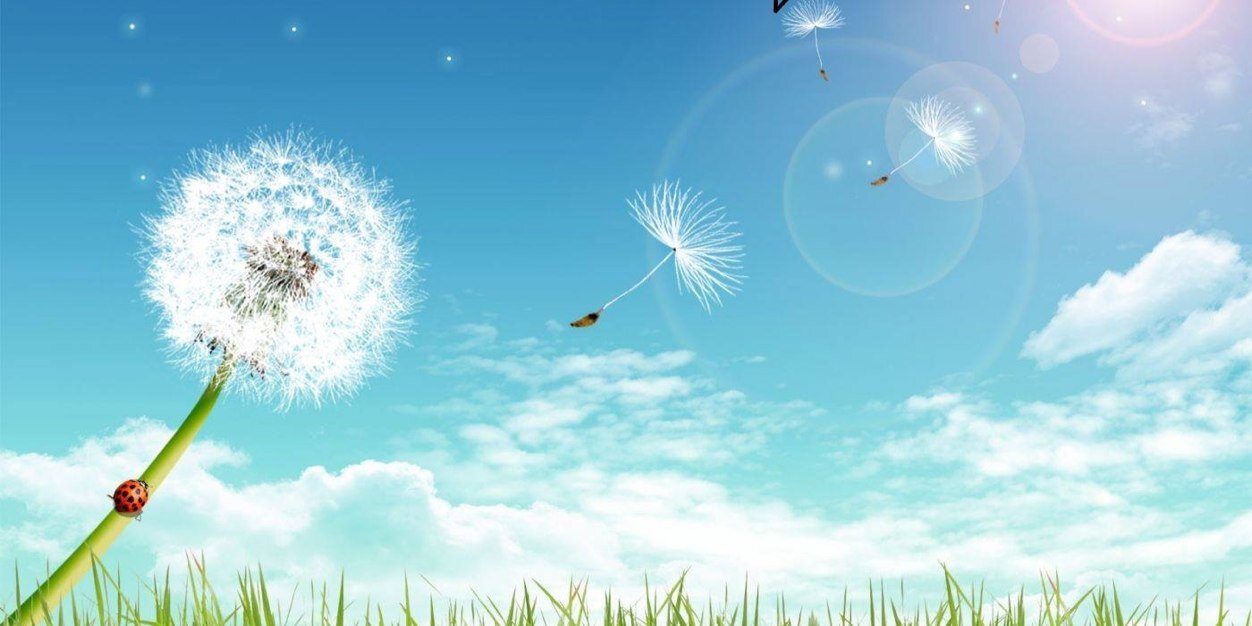leilafaia's profile banner image