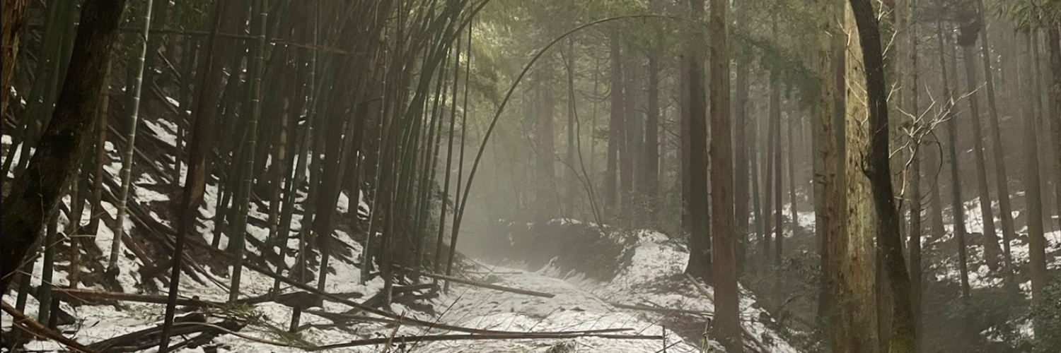 てろめえ banner